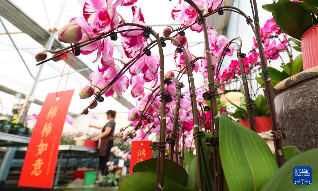 Hoa tươi đắt hàng dịp cận Tết Dương lịch