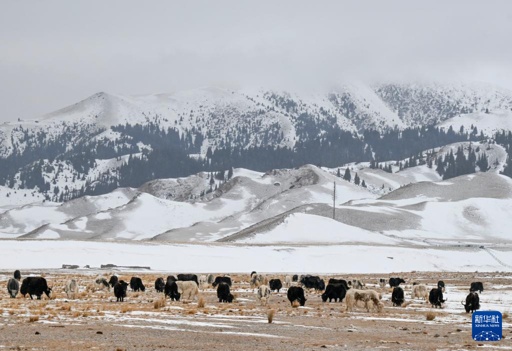 Hồ Sayram trong những ngày đông