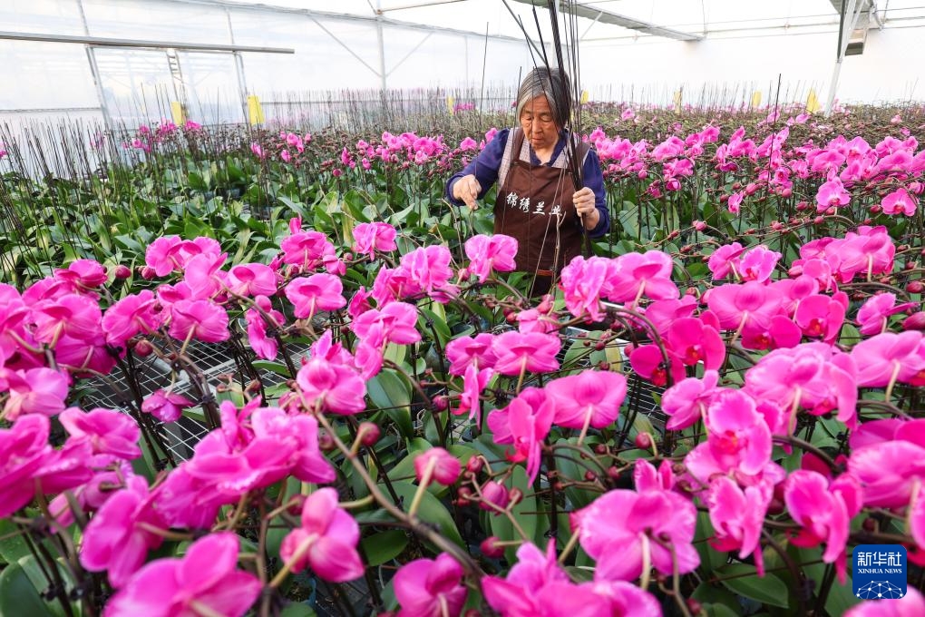 Hoa tươi đắt hàng dịp cận Tết Dương lịch