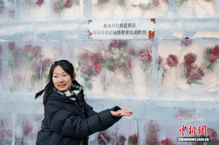 Cáp Nhĩ Tân: Công trình “Hoa hồng băng giá” trở lại trong thời gian giới hạn