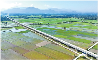 Cây cầu số 22 thuộc Dự án tuyến đường sắt Bờ Đông Malaysia do Tập đoàn Xây dựng Giao thông Trung Quốc thi công. Ảnh: Đặng Tử Lâm