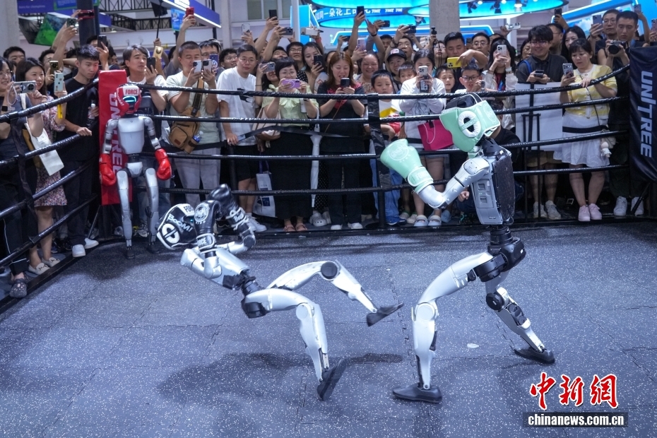 Một năm “bùng nổ” của robot hình người: Trình diễn, thi đấu, suy nghĩ…