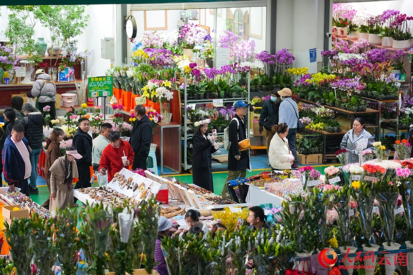 Côn Minh, Vân Nam: Chợ hoa Đấu Nam nhộn nhịp dịp năm mới