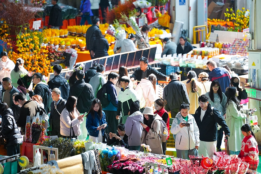 Côn Minh, Vân Nam: Chợ hoa Đấu Nam nhộn nhịp dịp năm mới