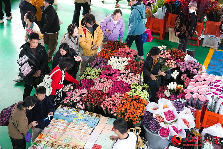 Côn Minh, Vân Nam: Chợ hoa Đấu Nam nhộn nhịp dịp năm mới