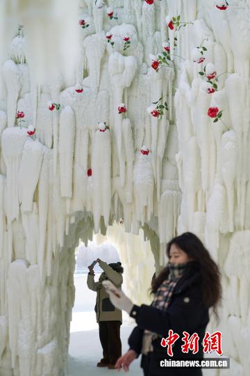 “Thác băng hoa hồng” tại Thế giới Băng tuyết Cáp Nhĩ Tân thu hút du khách