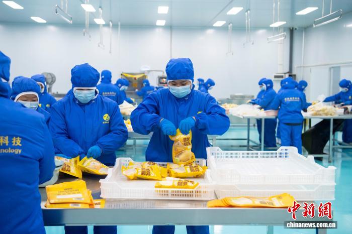 Lô sầu riêng đông lạnh Indonesia xuất khẩu Trung Quốc đầu tiên được chế biến sâu tại Quảng Tây