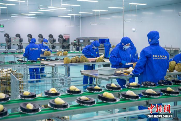 Lô sầu riêng đông lạnh Indonesia xuất khẩu Trung Quốc đầu tiên được chế biến sâu tại Quảng Tây