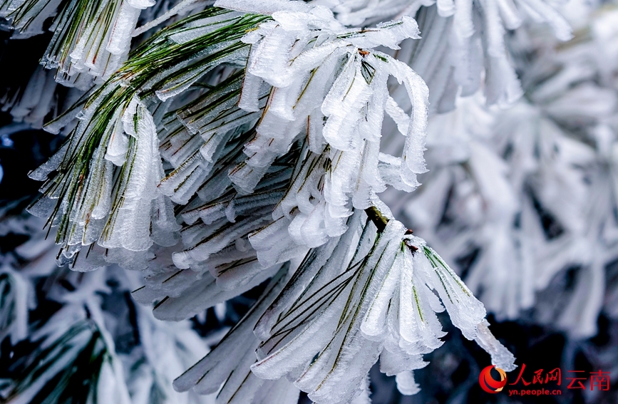 Cận cảnh vẻ đẹp băng giá trên núi Lương Vương tại Vân Nam