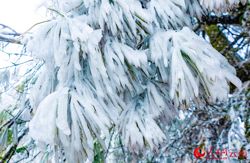 Cận cảnh vẻ đẹp băng giá trên núi Lương Vương tại Vân Nam