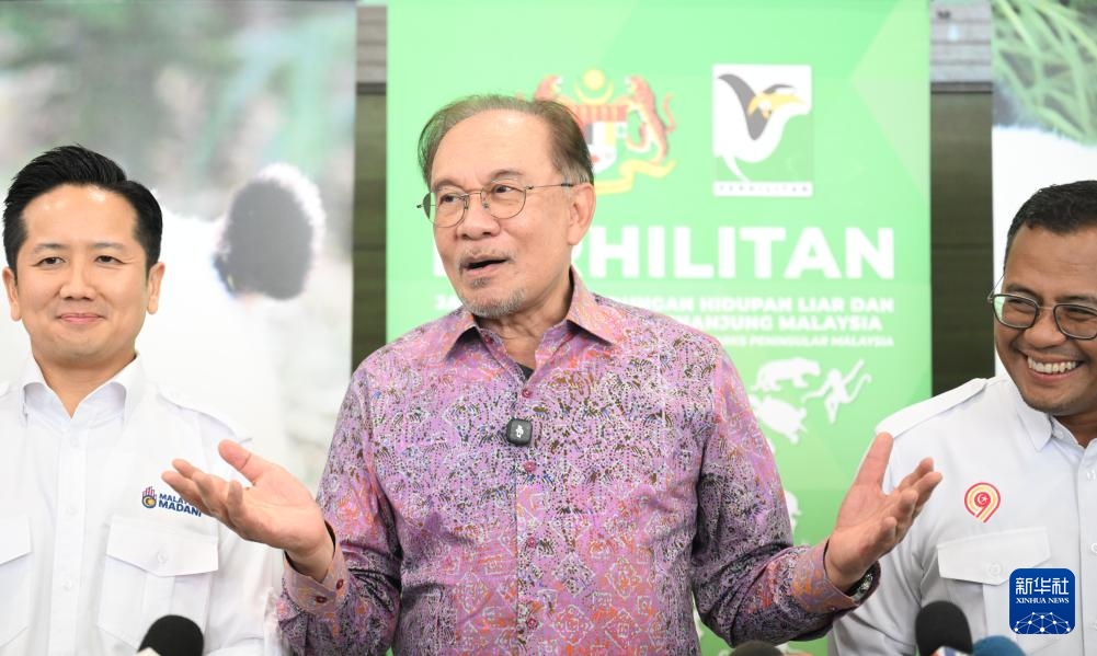 Cặp gấu trúc “Chenxing” và “Xiaoyue” chính thức ra mắt tại Malaysia