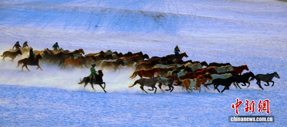 Cảnh “ngựa phi nước đại” đẹp như tranh trên thảo nguyên Ulanbutong