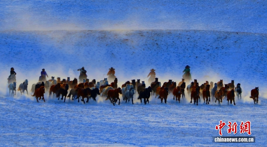 Cảnh “ngựa phi nước đại” đẹp như tranh trên thảo nguyên Ulanbutong