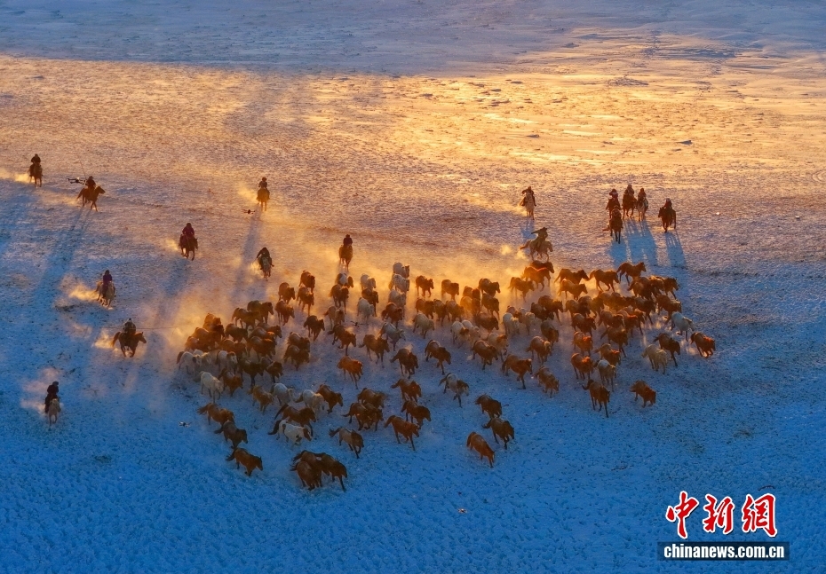 Cảnh “ngựa phi nước đại” đẹp như tranh trên thảo nguyên Ulanbutong