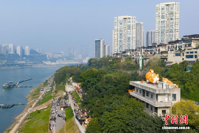 Người dân đổ xô đến thăm “mái ấm tình thương” cho mèo hoang tại Trùng Khánh