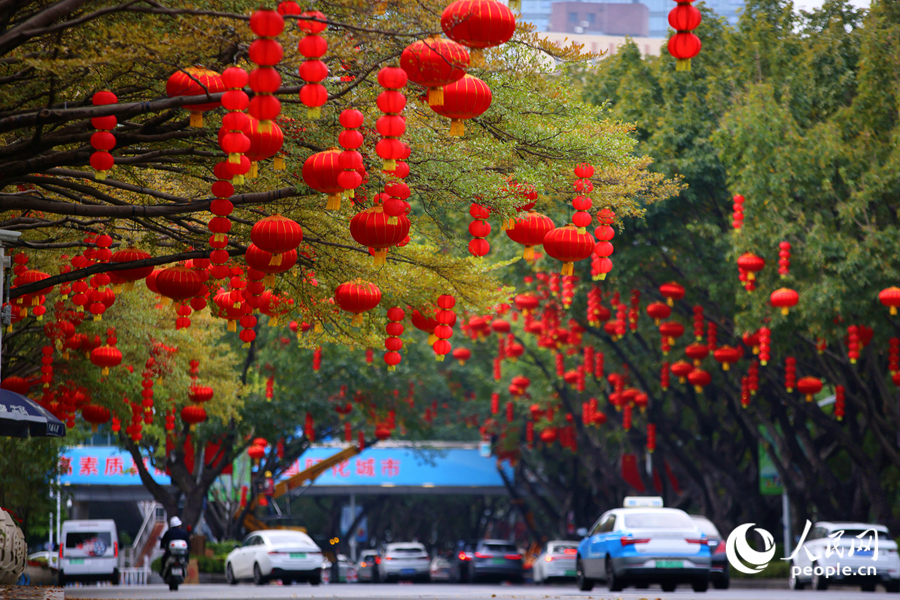 Hạ Môn rực rỡ sắc đỏ, rộn ràng đón xuân