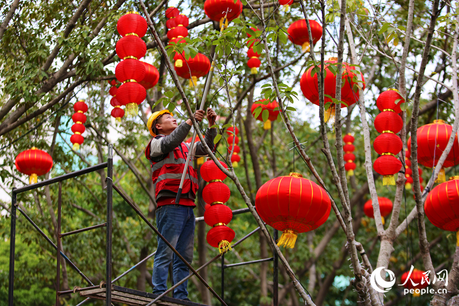 Hạ Môn rực rỡ sắc đỏ, rộn ràng đón xuân