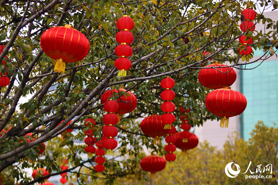 Hạ Môn rực rỡ sắc đỏ, rộn ràng đón xuân