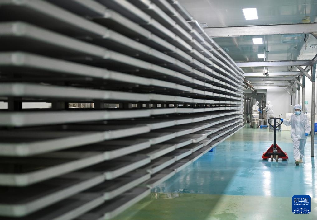 Hương cà phê châu Phi lan tỏa bên bờ sông Hoàng Hà