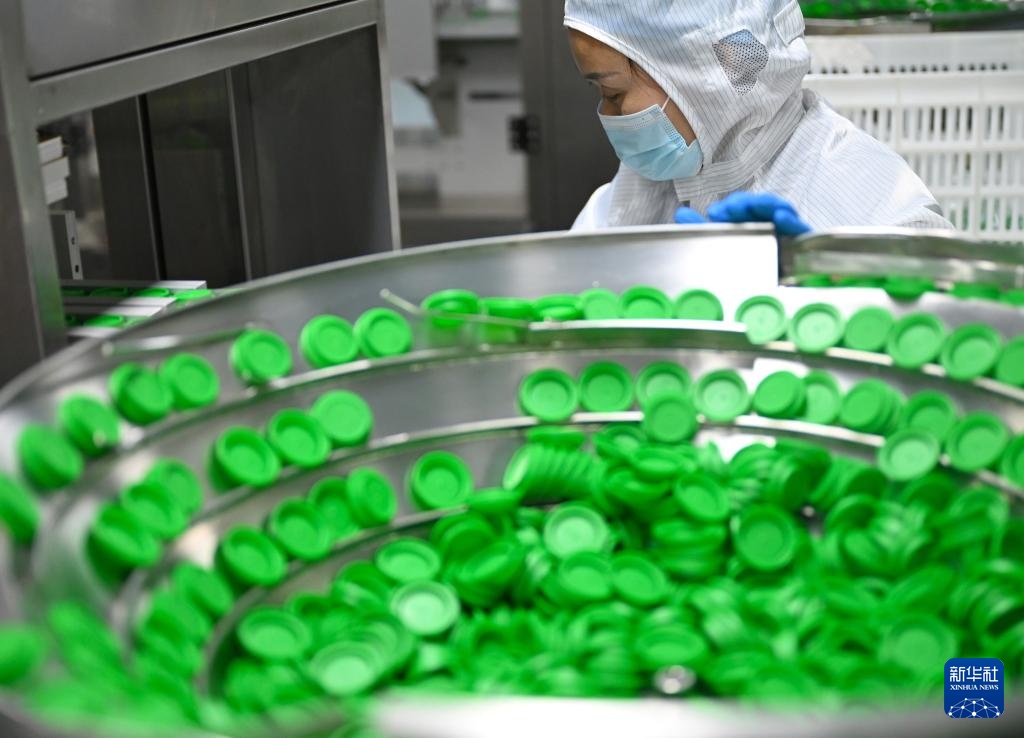 Hương cà phê châu Phi lan tỏa bên bờ sông Hoàng Hà