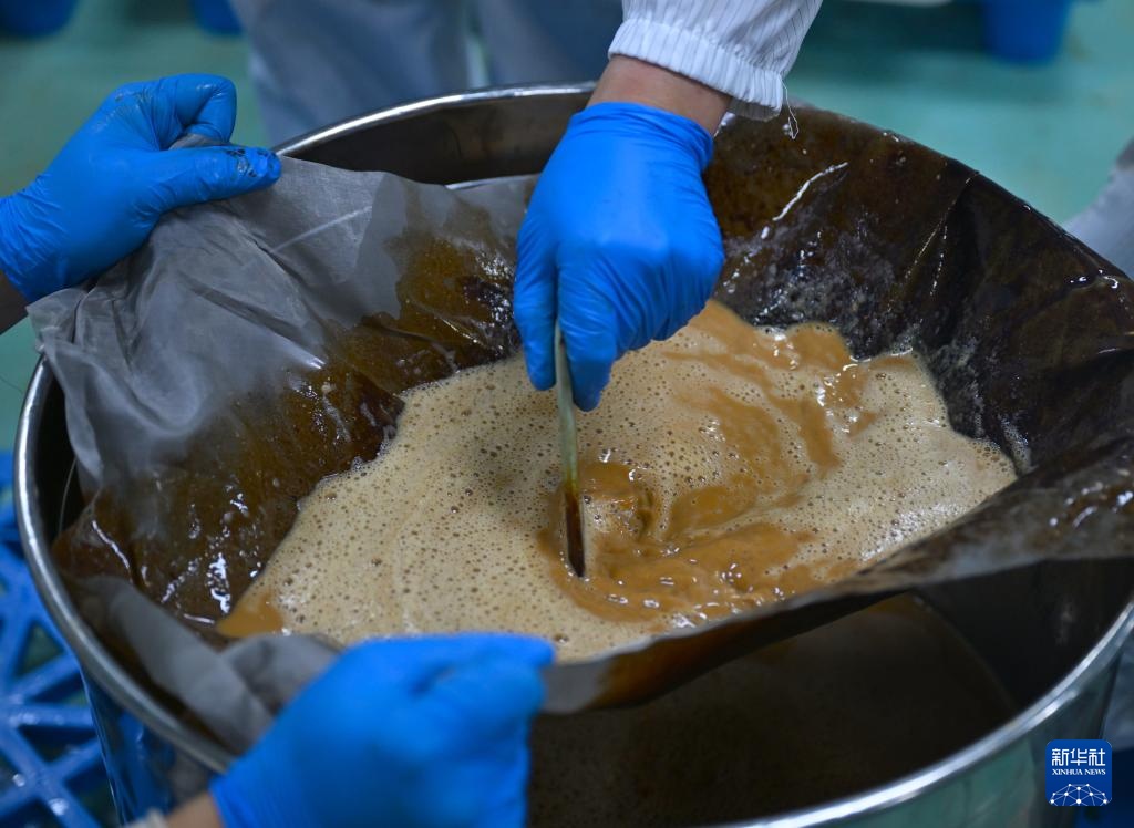 Hương cà phê châu Phi lan tỏa bên bờ sông Hoàng Hà