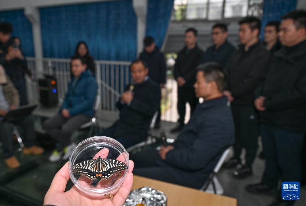 “Bướm vũ trụ” lột kén thành công trong thiết bị hỗ trợ sự sống ngoài không gian của Trung Quốc