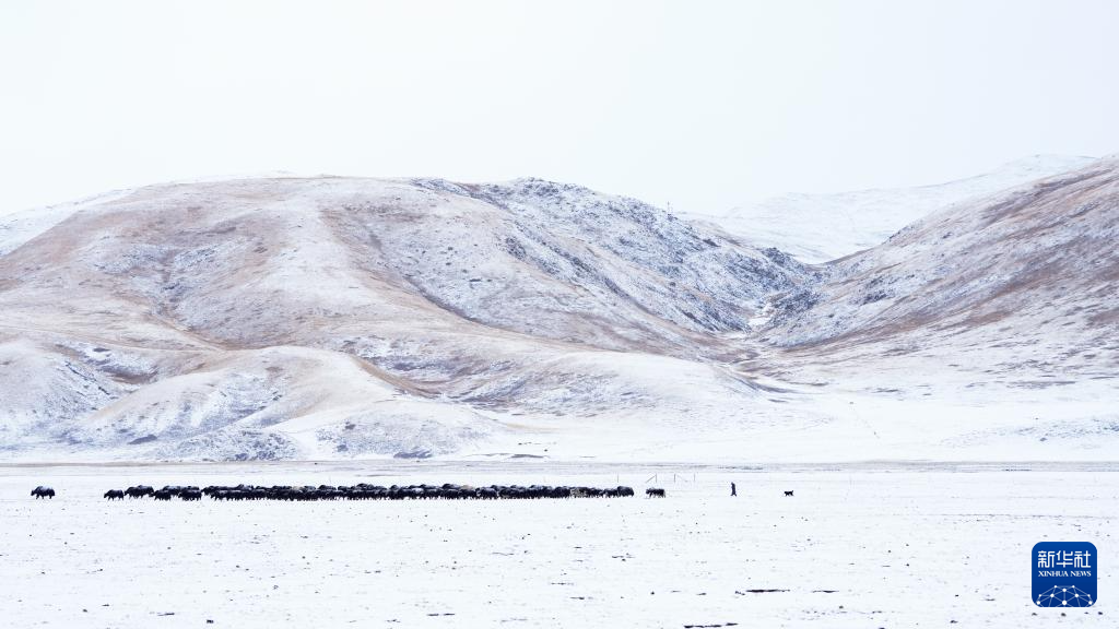 Phong cảnh mùa đông hùng vĩ ở Ngọc Thụ