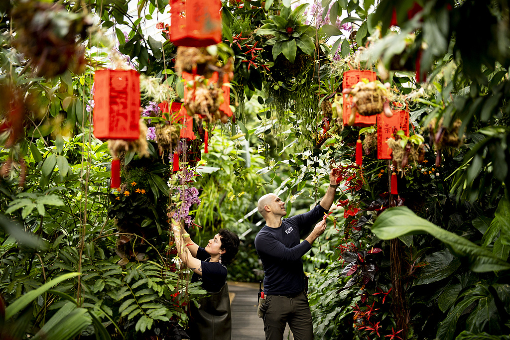 Lễ hội hoa lan tại Vườn thực vật hoàng gia Kew, Vương quốc Anh lần đầu chọn Trung Quốc làm chủ đề