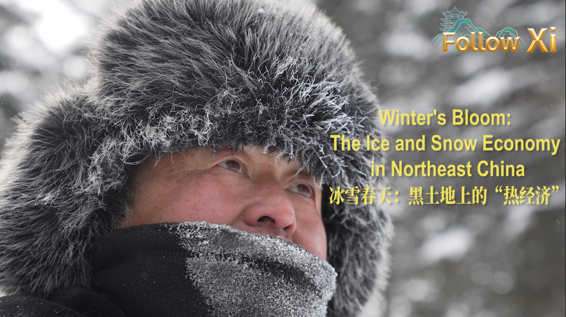Follow Xi - "Kinh tế nóng" trên lãnh thổ băng tuyết Hắc Long Giang
