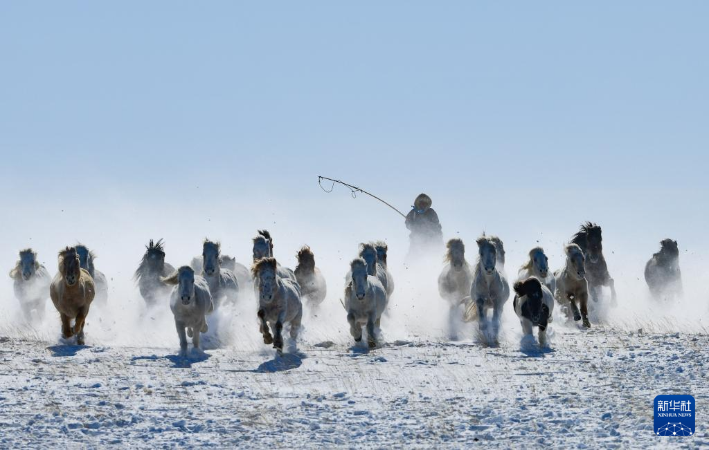 Phi ngựa trên tuyết đón Xuân mới