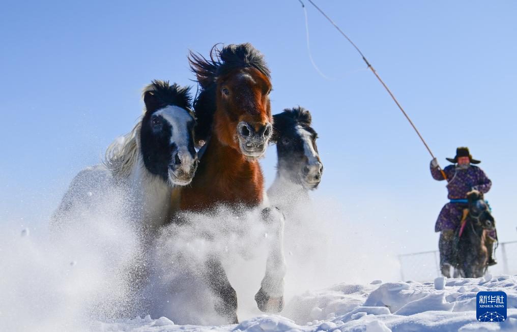 Phi ngựa trên tuyết đón Xuân mới
