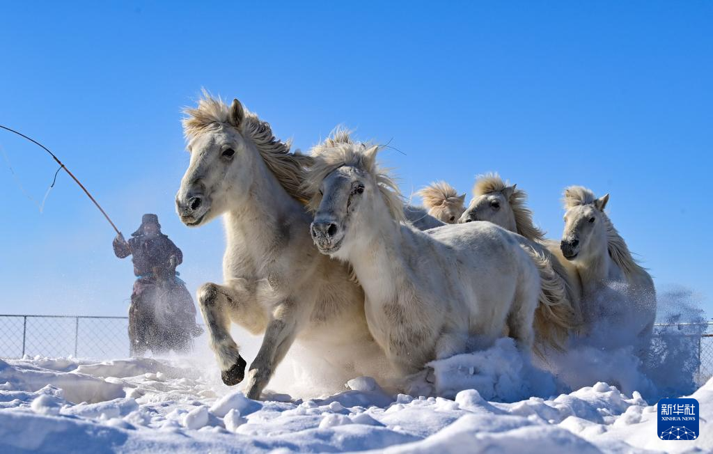 Phi ngựa trên tuyết đón Xuân mới