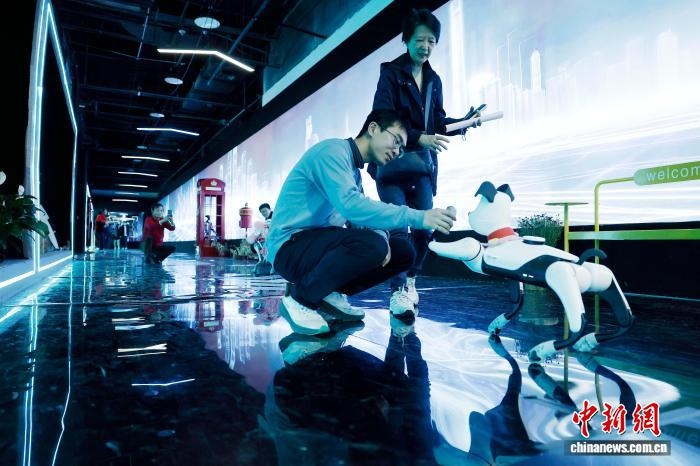 Thượng Hải: Lễ hội văn hóa robot thu hút đông đảo du khách