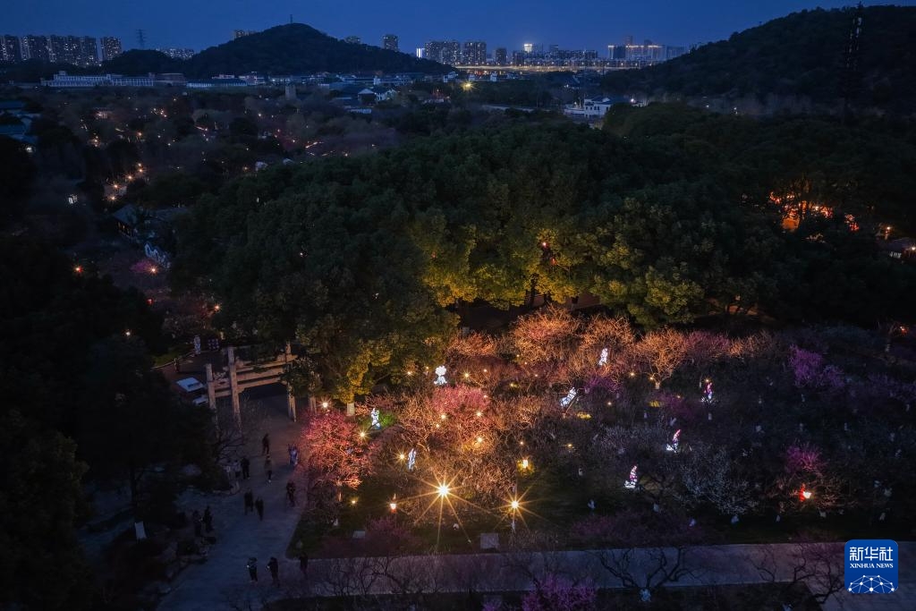 Ngắm “biển hoa mai” về đêm tại Hàng Châu