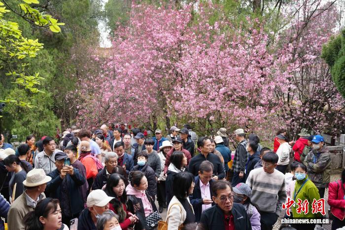 Côn Minh: Nô nức trẩy hội chùa Kim Điện ngày mùng 9 Tết