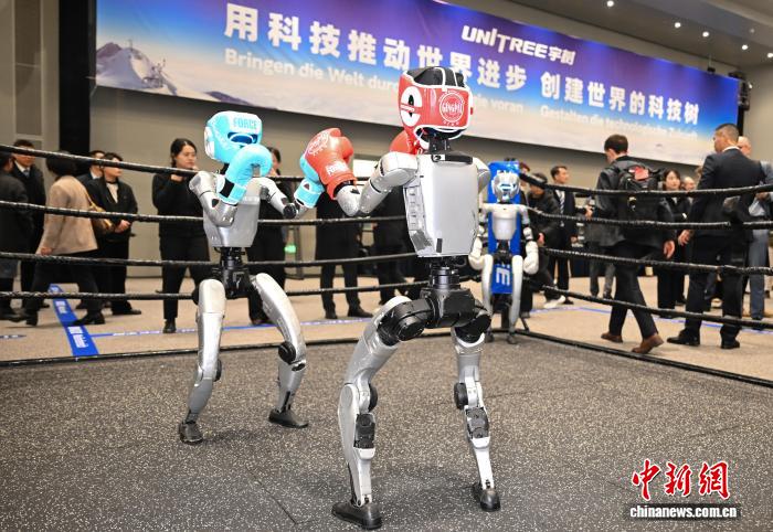 Robot hình người thi đấu quyền anh. Ảnh: Vương Cương - Phóng viên Chinanews