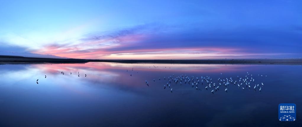 Trung Quốc xây dựng Bộ luật Môi trường sinh thái