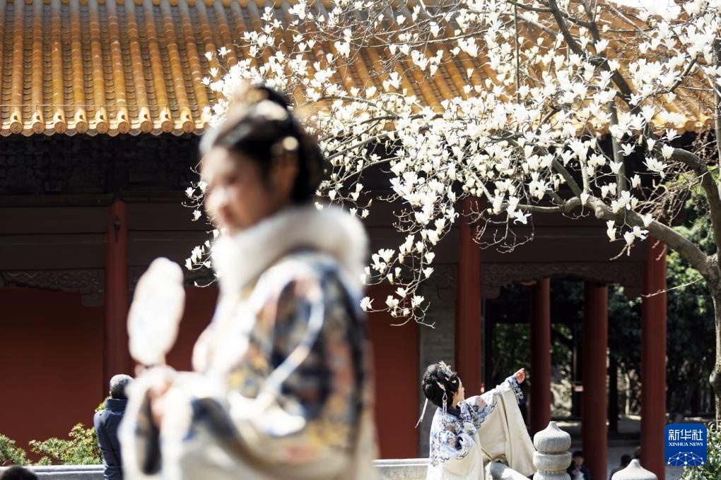 Hoa xuân khoe sắc, người dân hân hoan du xuân