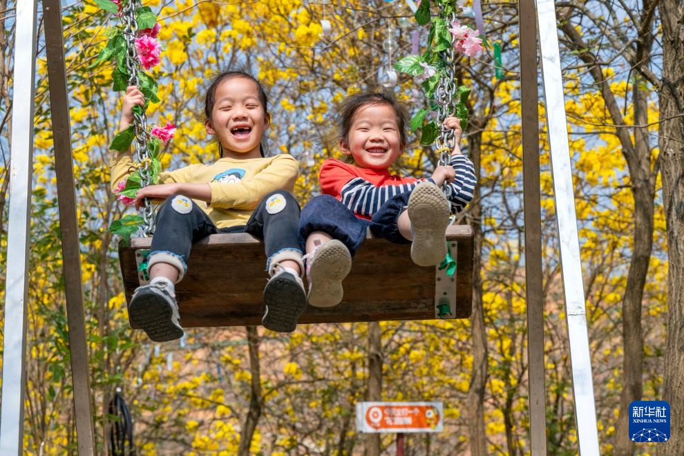 Hoa xuân khoe sắc, người dân hân hoan du xuân