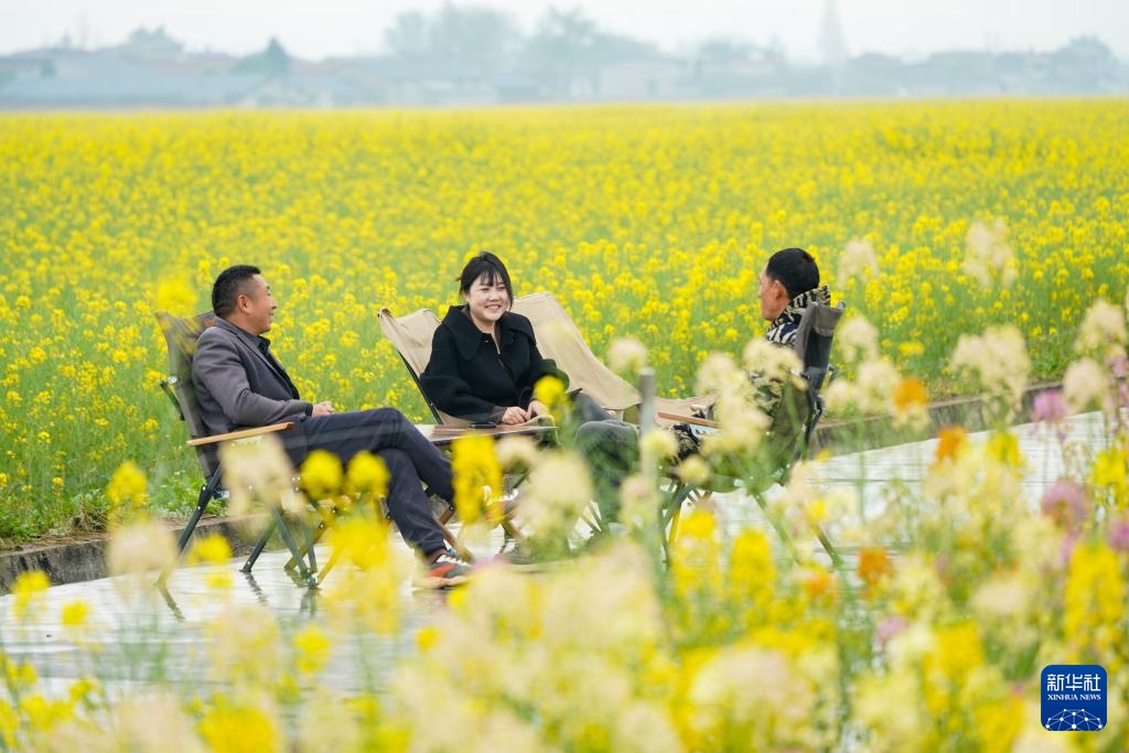 Hoa xuân khoe sắc, người dân hân hoan du xuân