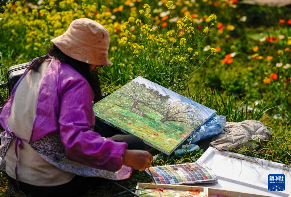 Du khách thưởng hoa tại Thành phố mùa xuân