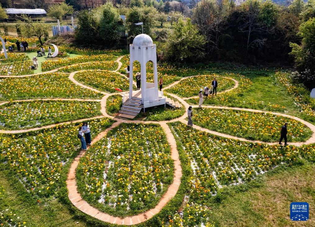 Du khách thưởng hoa tại Thành phố mùa xuân