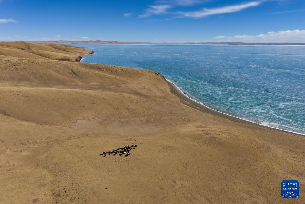 Vẻ đẹp mùa xuân nơi thượng nguồn sông Hoàng Hà