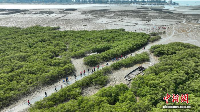 Thanh niên Trung Quốc và Việt Nam tới khu vực bãi triều để bắt đầu hoạt động trồng cây. Ảnh: Đặng Hữu Hùng