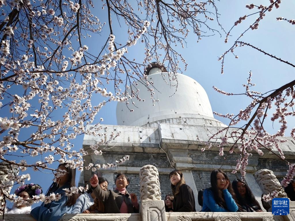 Sắc xuân tươi đẹp tại Công viên Bắc Hải