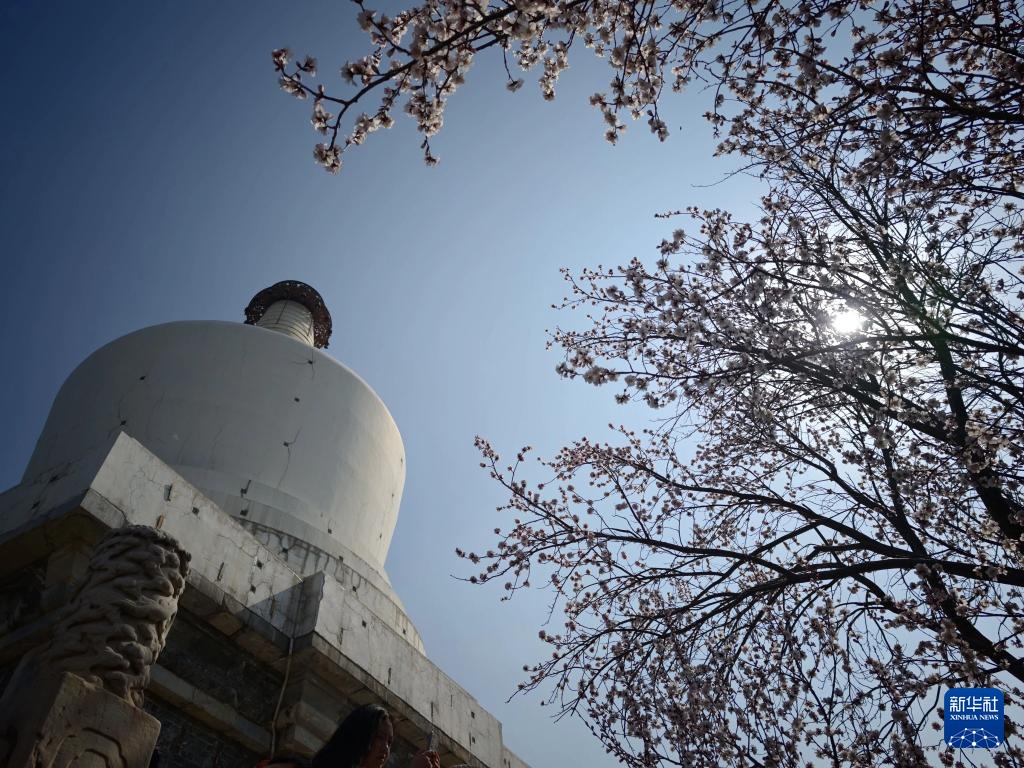 Sắc xuân tươi đẹp tại Công viên Bắc Hải