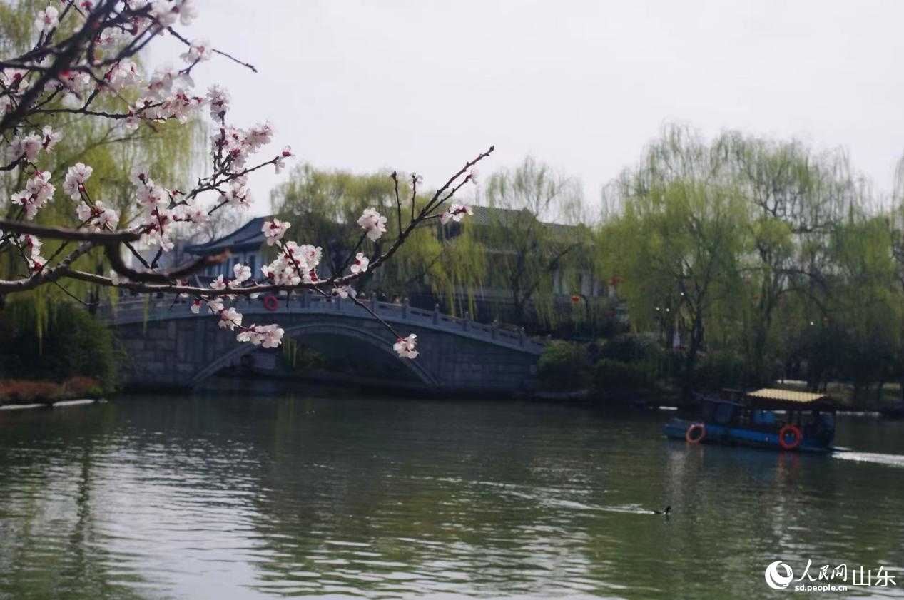 Sắc xuân rạng rỡ bên hồ Đại Minh ở Tế Nam