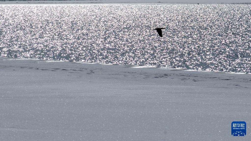 Mùa xuân trên Hồ Thanh Hải