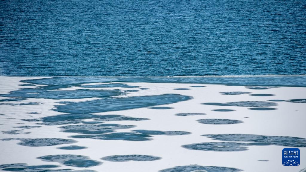 Mùa xuân trên Hồ Thanh Hải