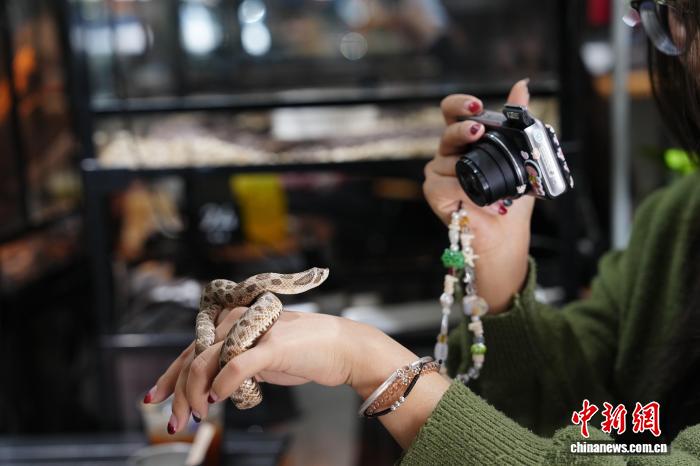 Cà phê thú cưng “độc lạ” ở Côn Minh thu hút khách